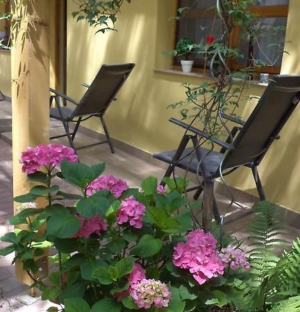 Oazis Apartman エゲル エクステリア 写真