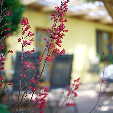 Oazis Apartman エゲル エクステリア 写真